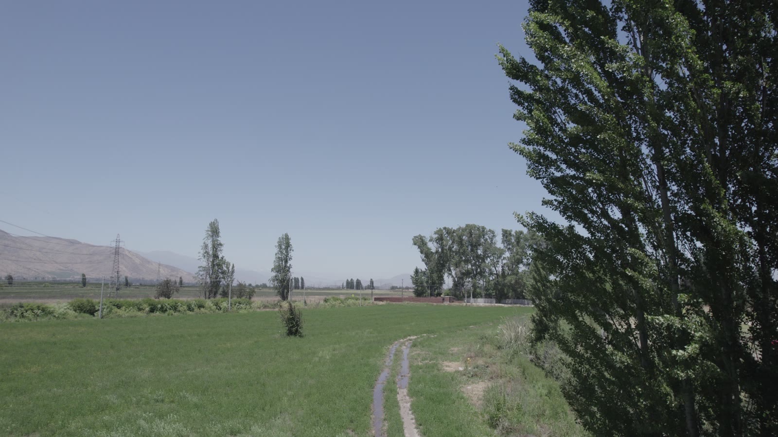Paisaje natural de Buin con los Andes y el campo verde